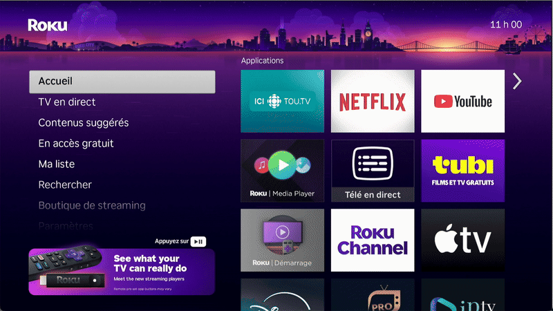 ROKUinfosysteme-ezgif.com-video-to-gif-converter.gif